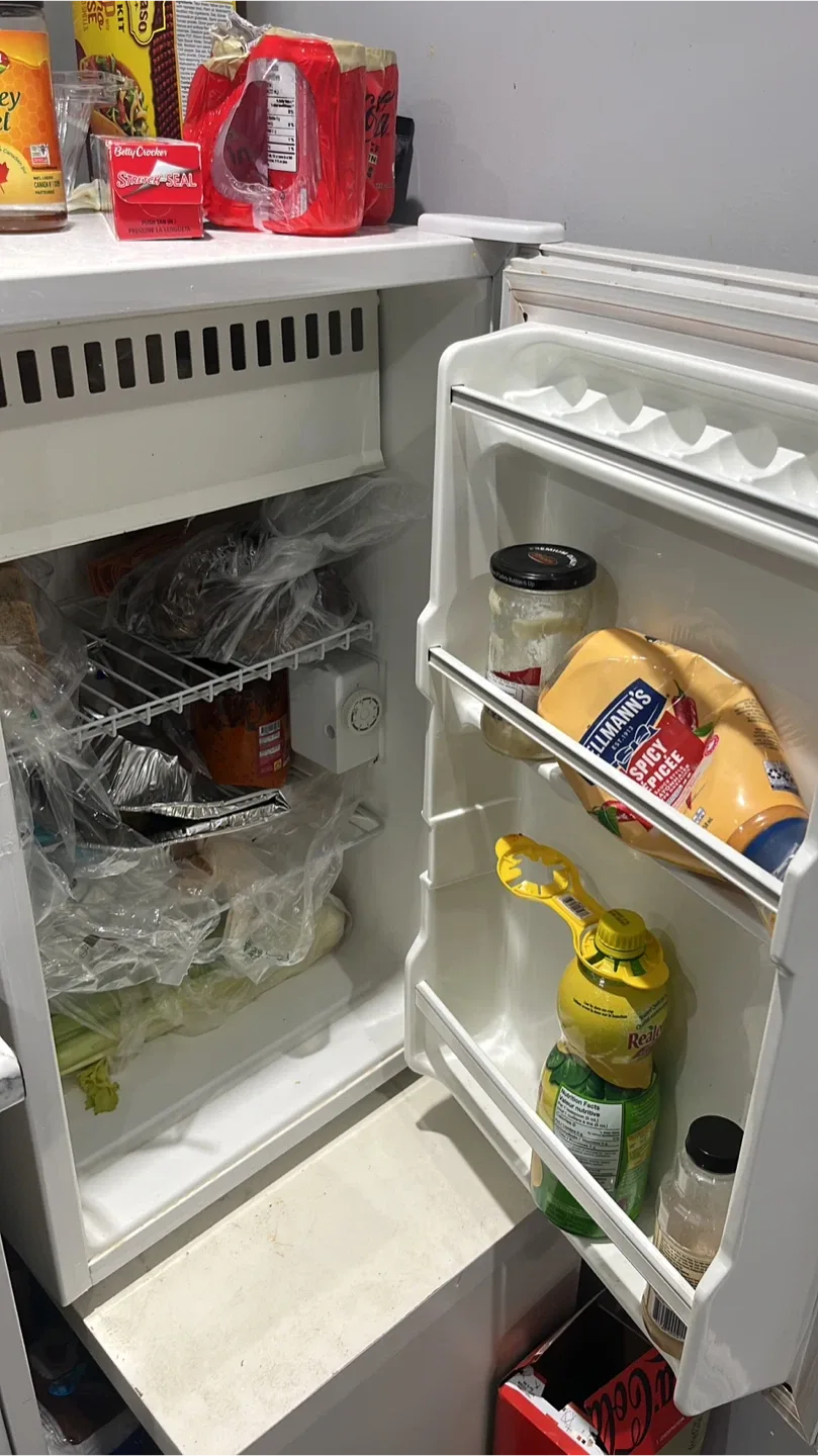 Frigidaire Compact Fridge