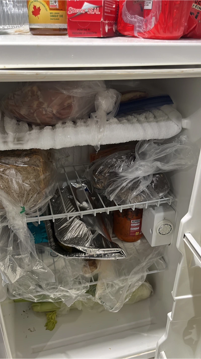 Frigidaire Compact Fridge - photo 3