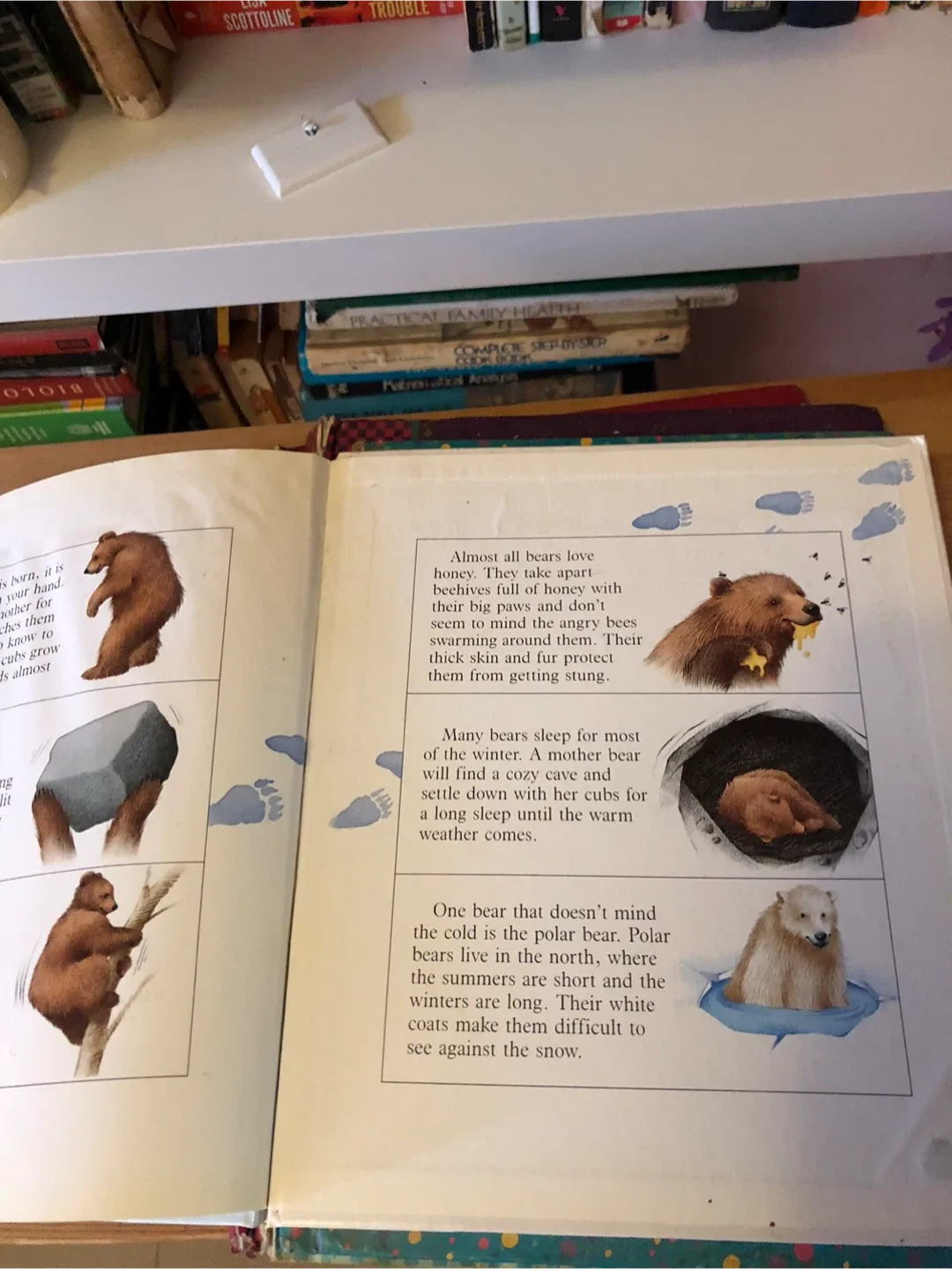 Children's Books Bundle 🥕 image indicator(6)