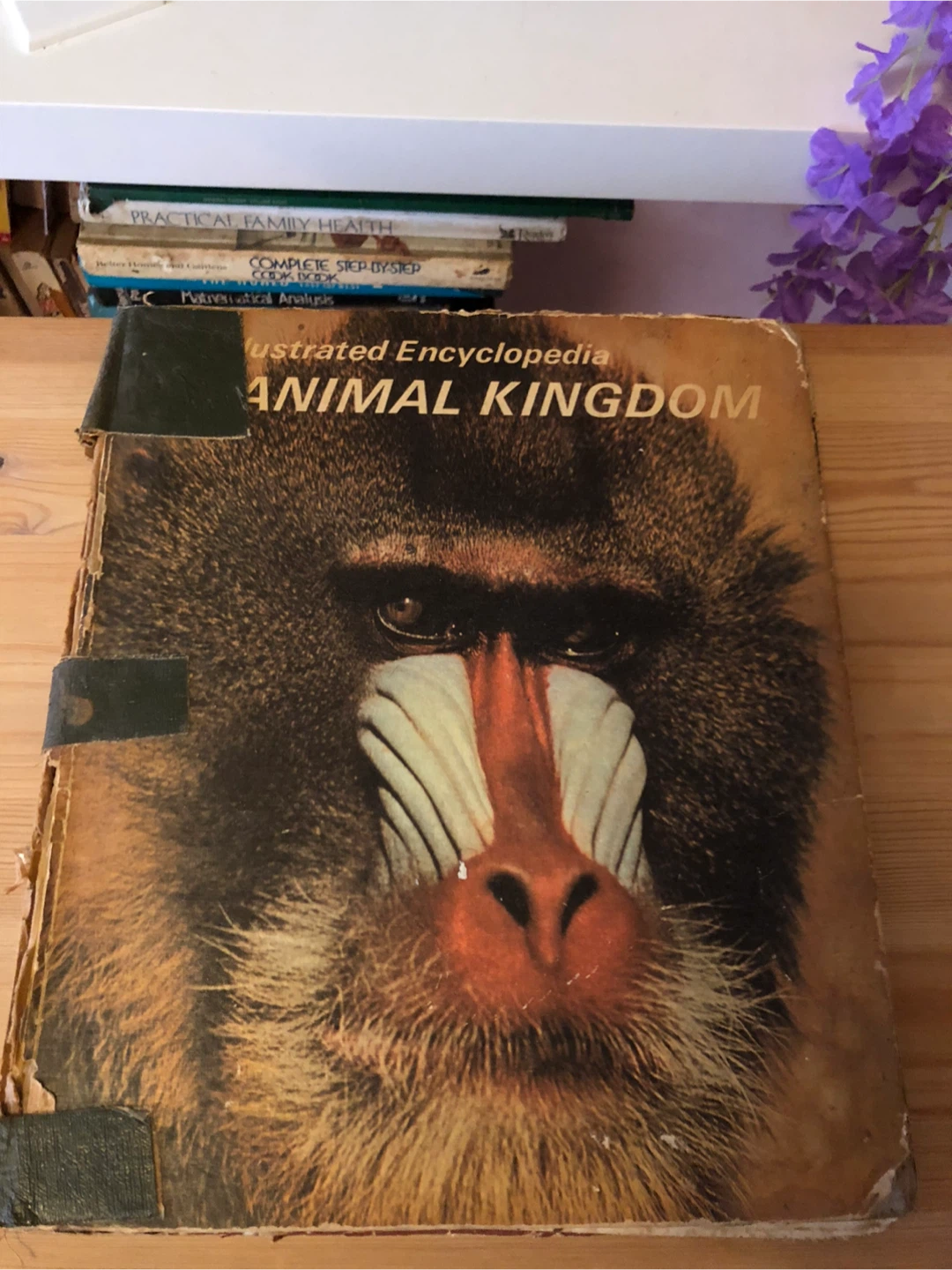 Children’s Animal Kingdom Book 🥕