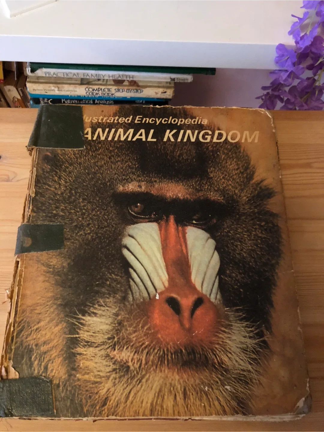 Children’s Animal Kingdom Book 🥕