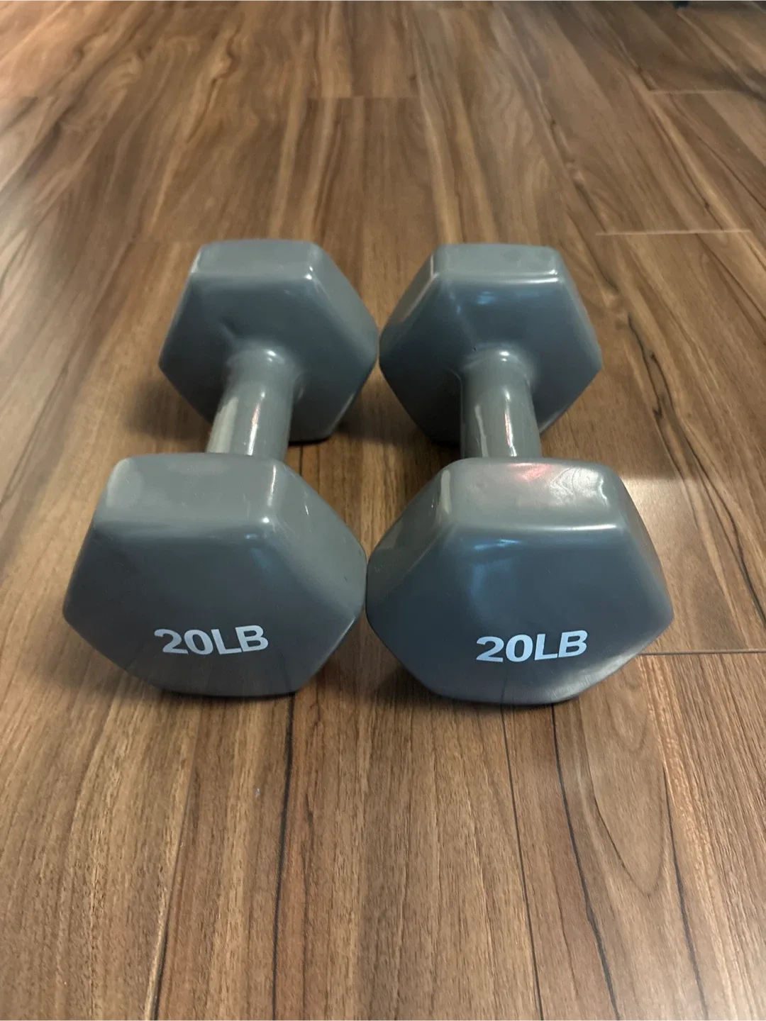 Pair of 20LB Dumbbells thumbnail