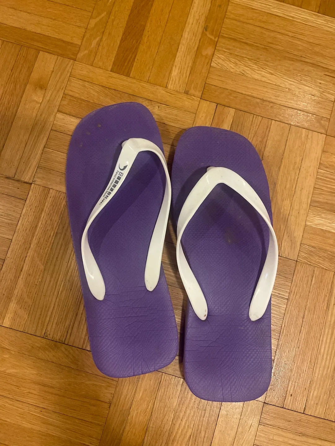 🥕Purple Flip Flops