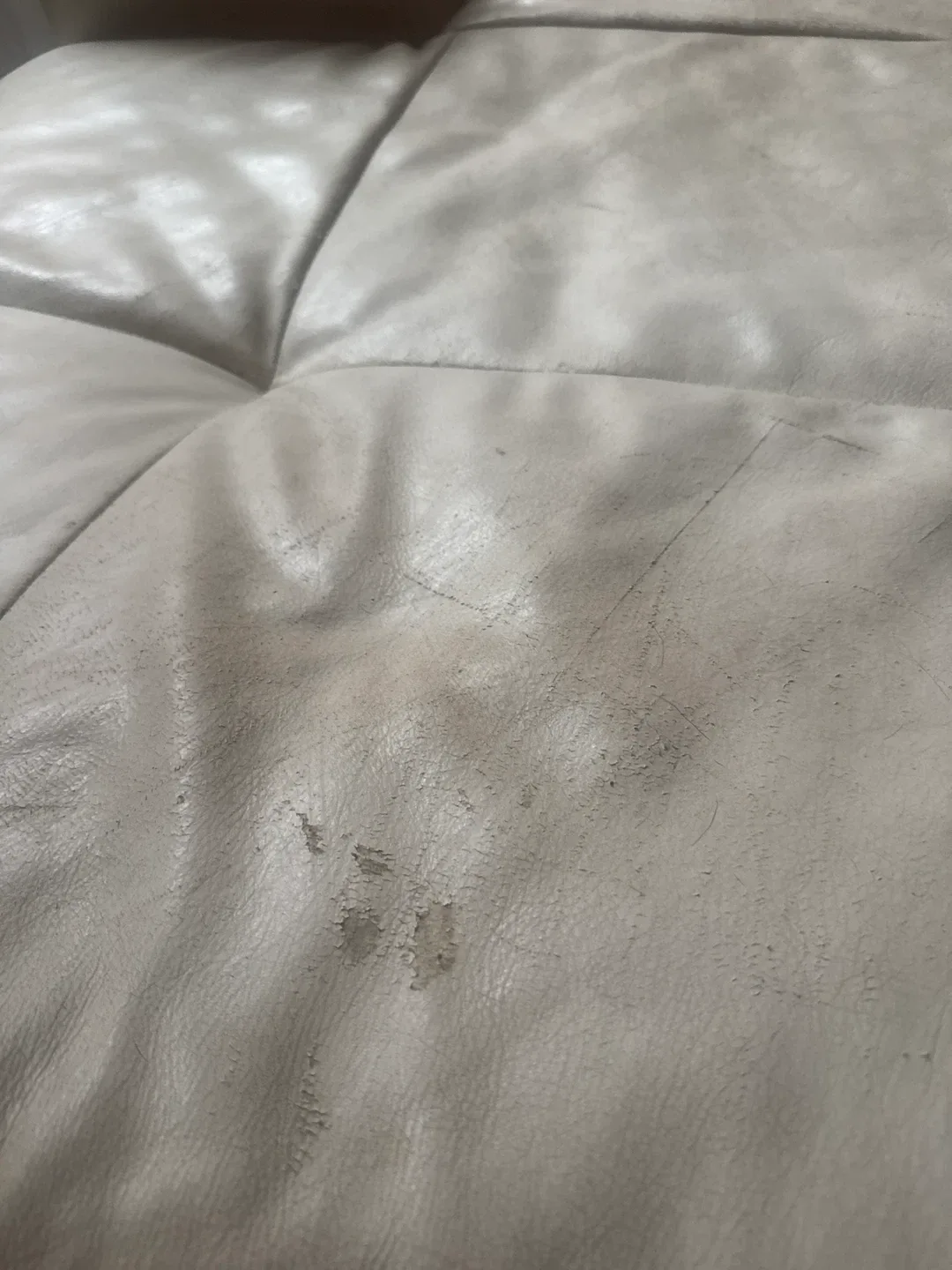 Cream Leather Chaise Lounge image indicator(3)