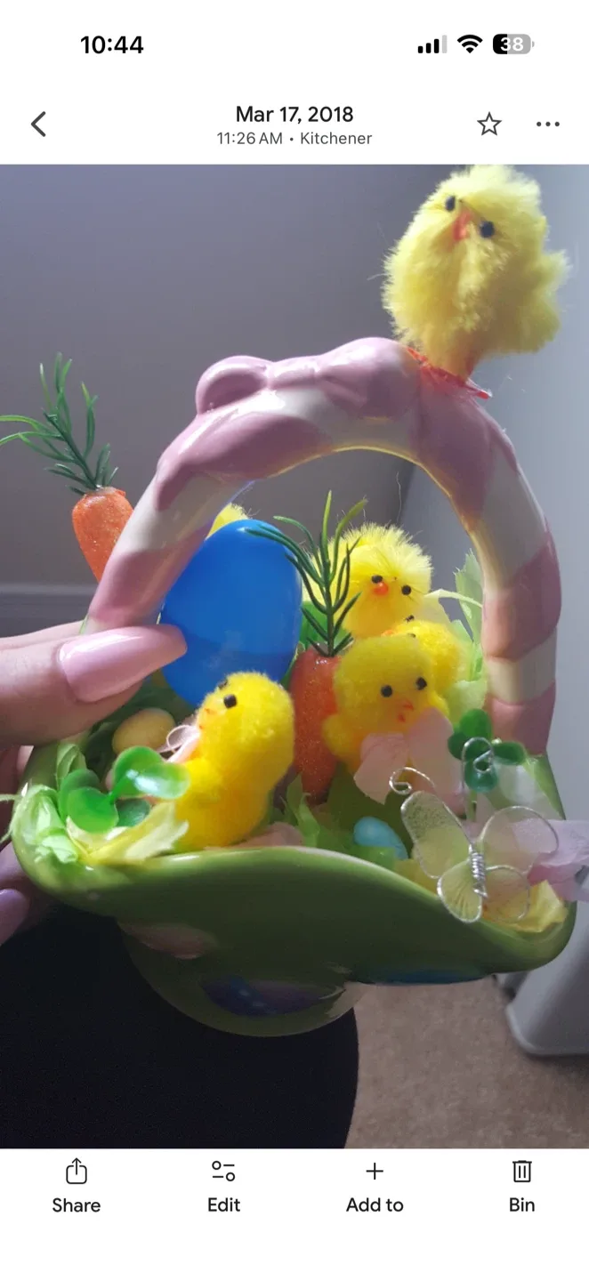 Easter Basket with Chicks image indicator(3)