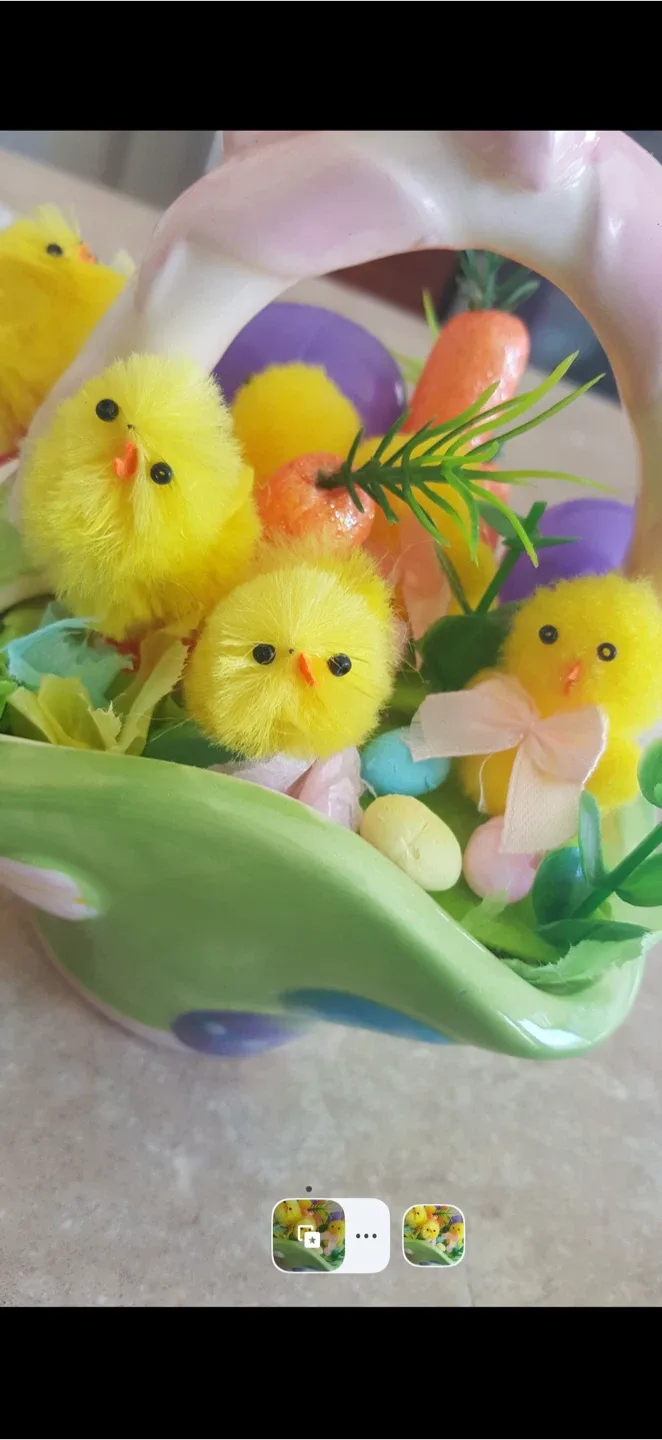 Easter Basket with Chicks image indicator(4)