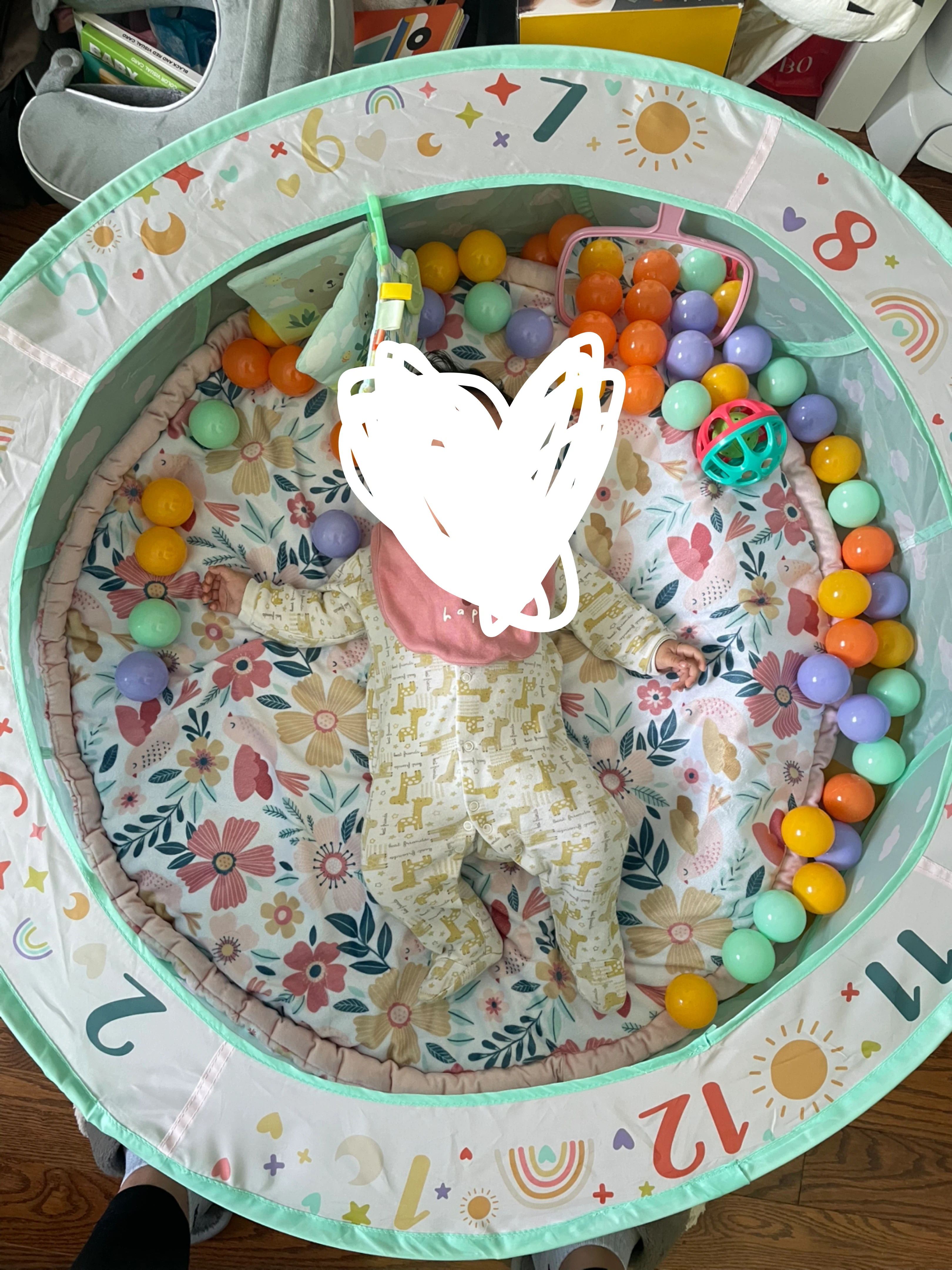 Baby Ball Pit Play Gym