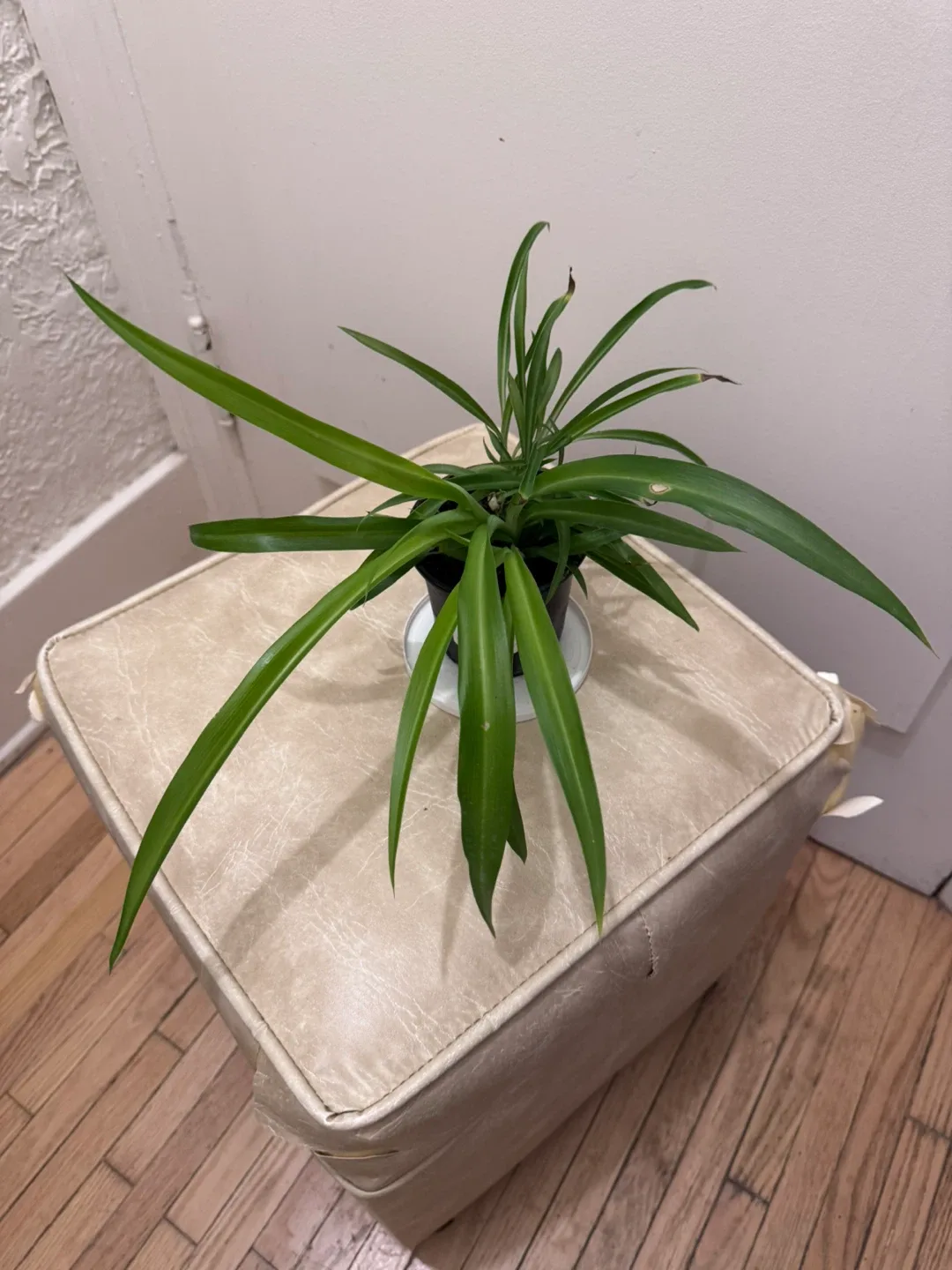 Moving soon and sale various of plants image indicator(7)