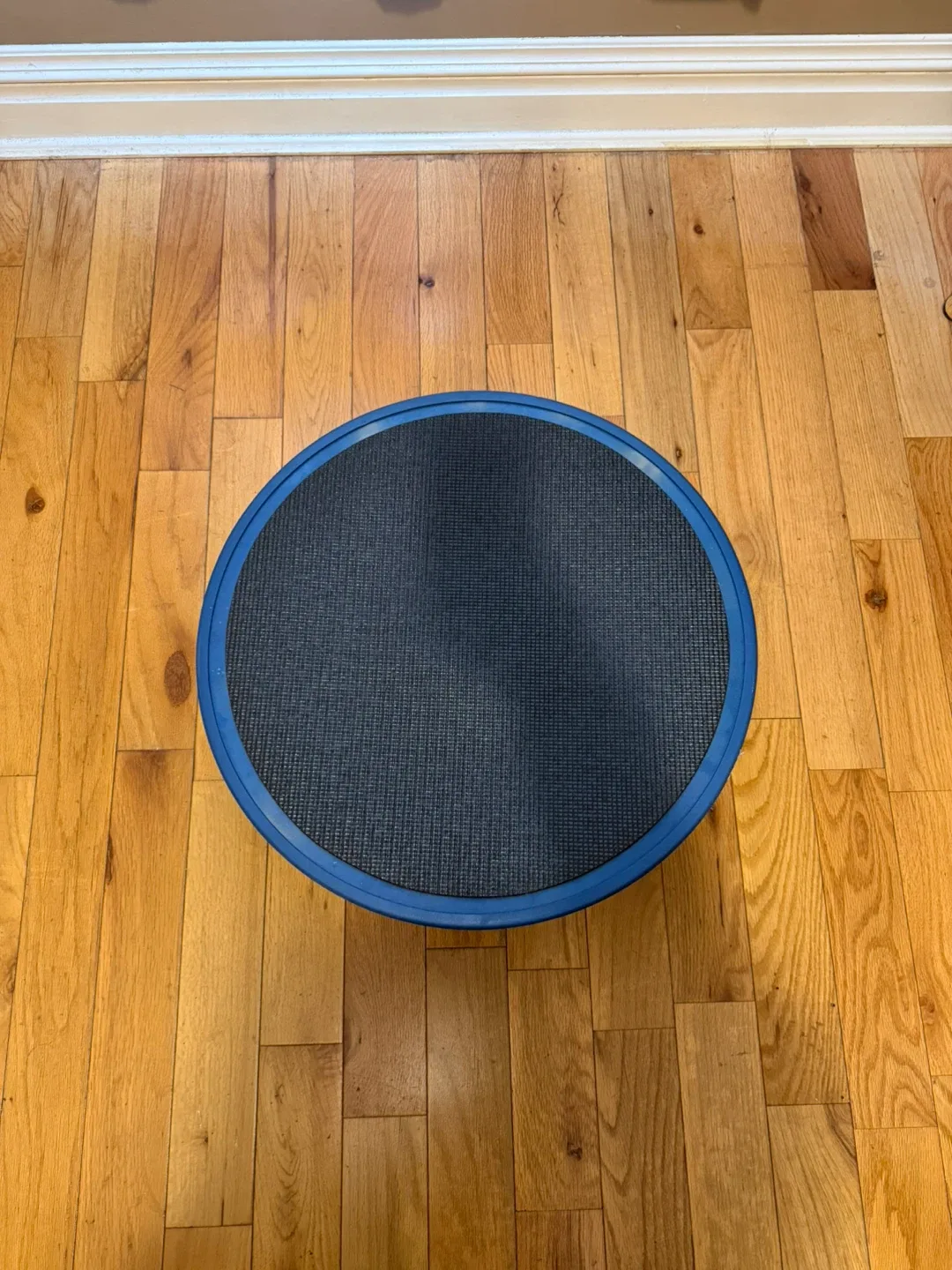 Blue Balance Board image indicator(3)