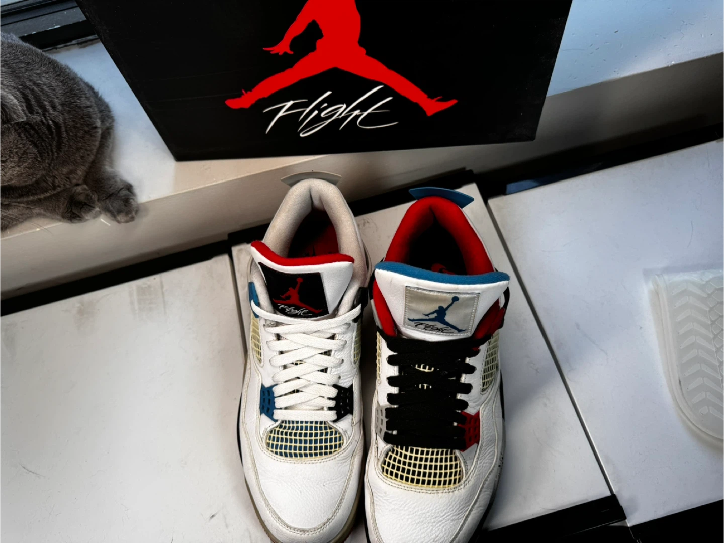 Nike Air Jordan 4 Retro ‘What The’ - photo 4