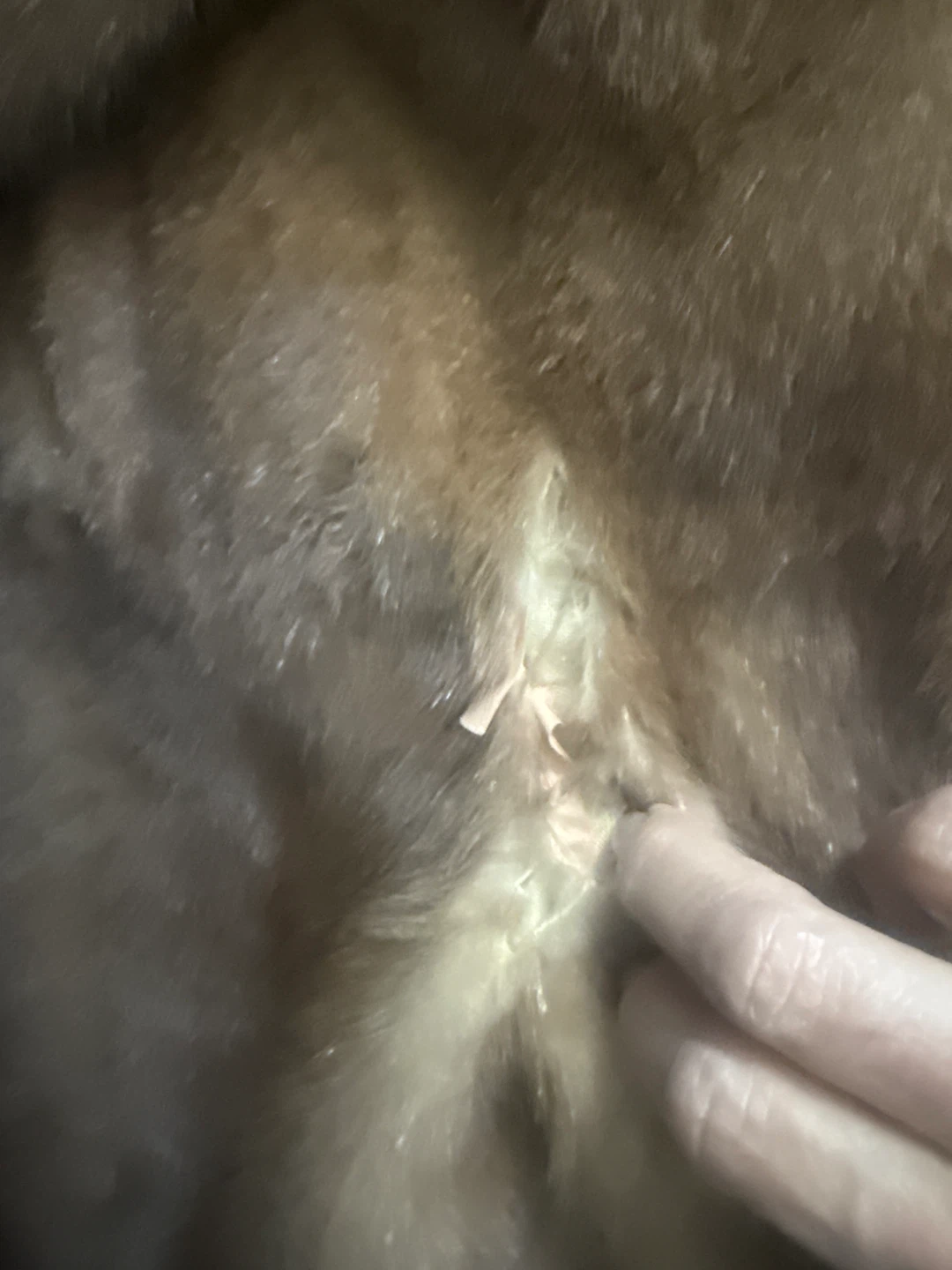 Brown Fur Coat - photo 2