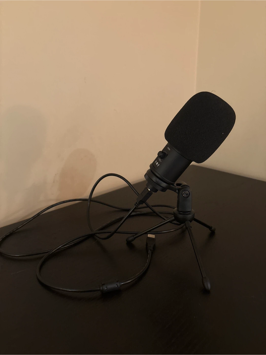Black USB Microphone with Tripod Stand 🥕