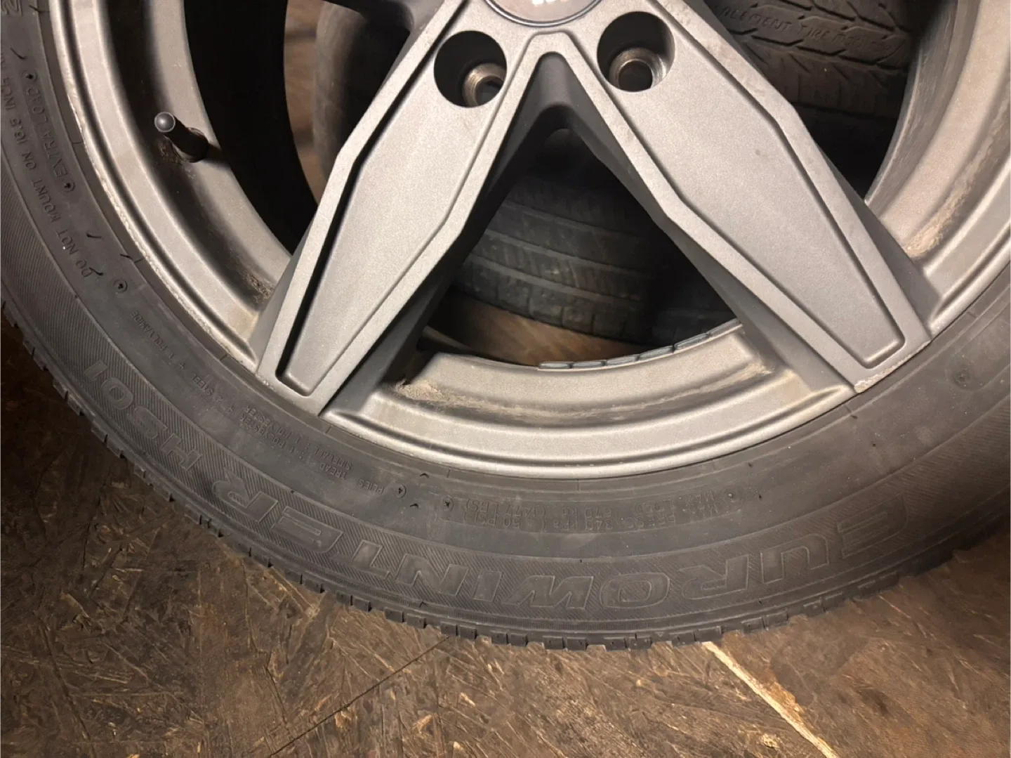 Euro Winter Tire on Alloy Rim image indicator(5)