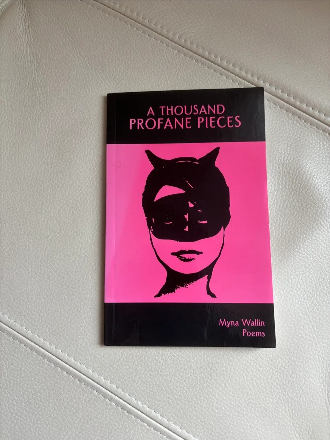 A Thousand Profane Pieces by Myna Wallin thumbnail