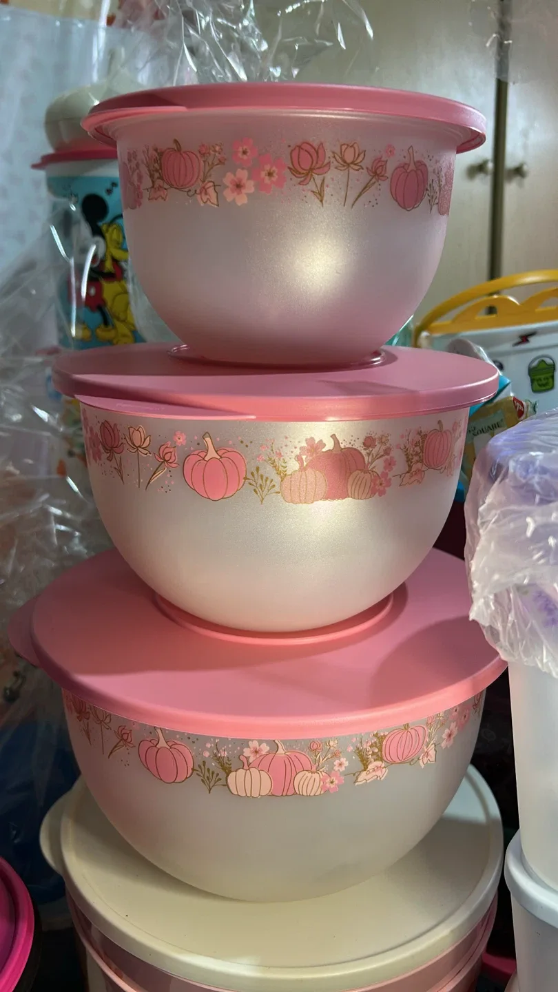Tupperware Bowls Set with Pumpkin Design