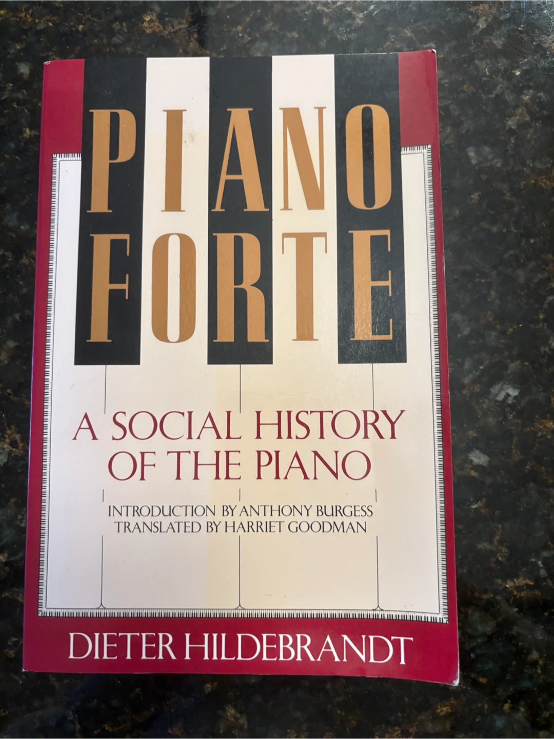 Pianoforte: Social History of the Piano by Dieter Hildebrandt