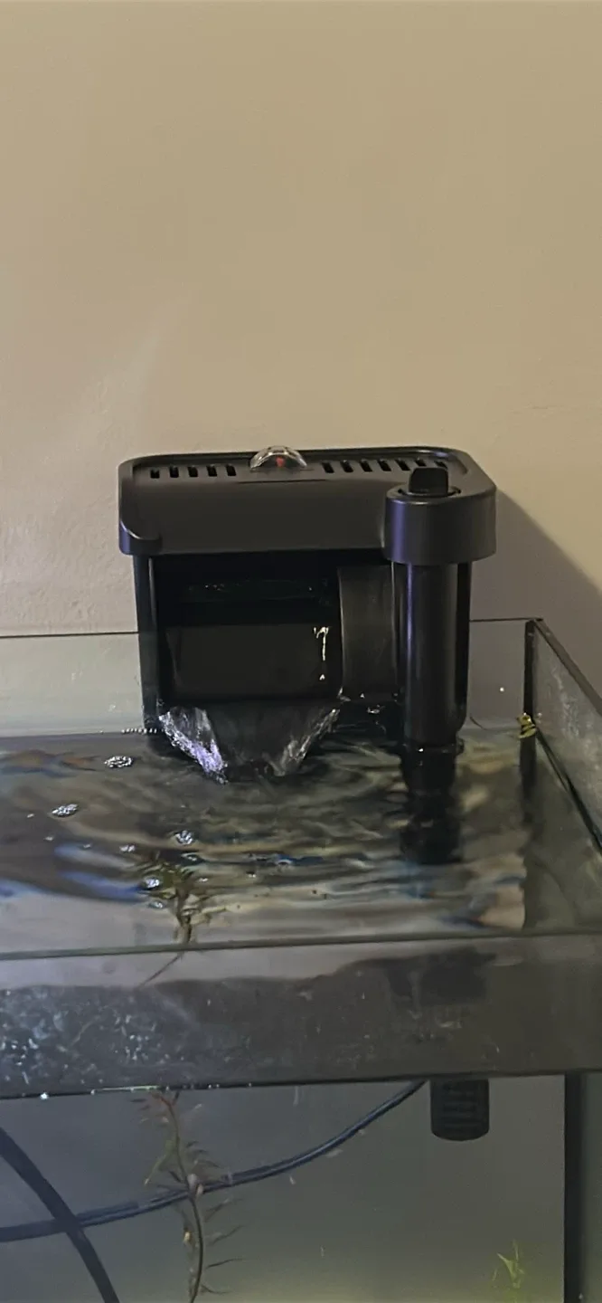 Fish tank with filter and light image indicator(2)