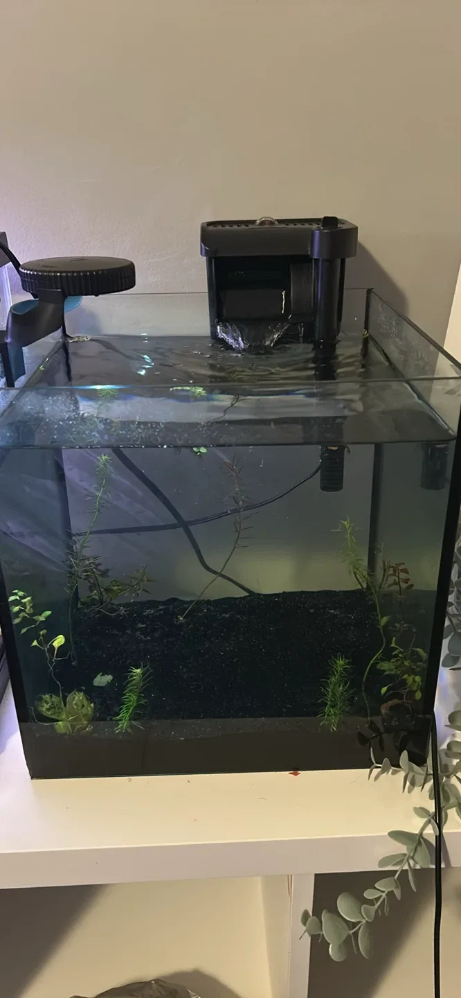 Fish tank with filter and light image indicator(3)