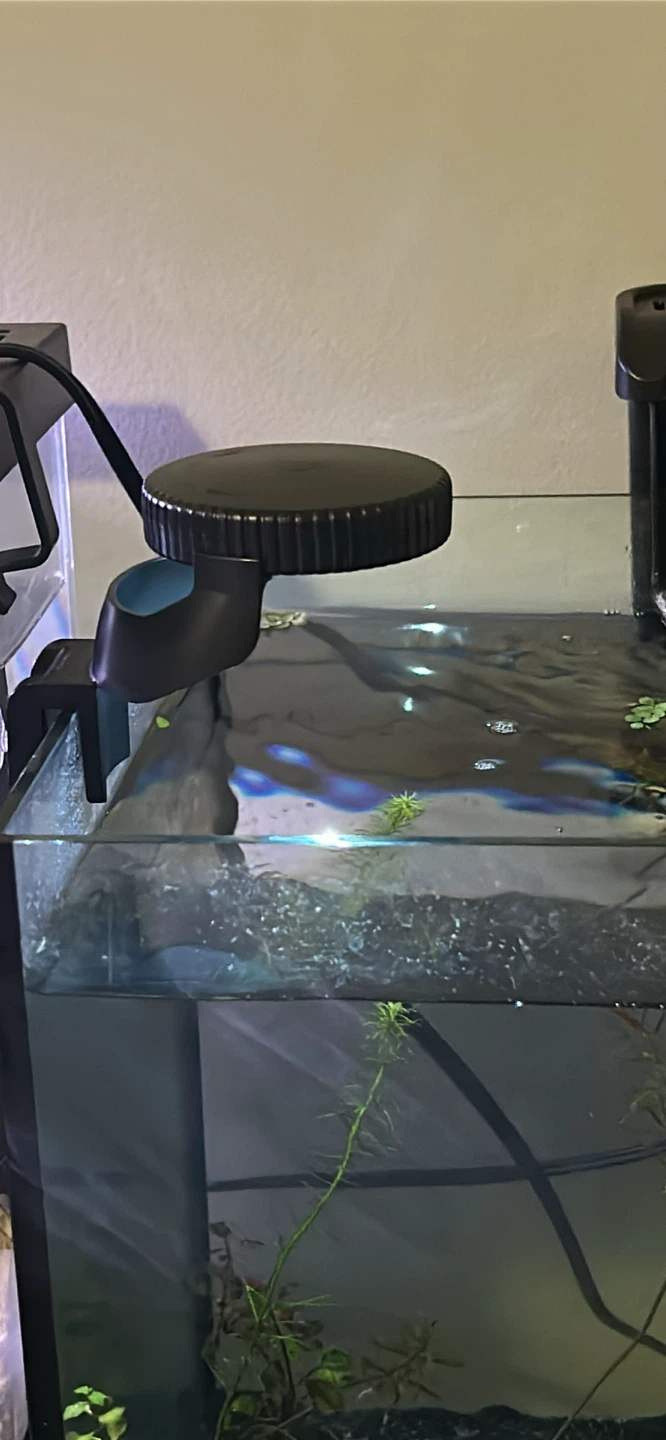 Fish tank with filter and light