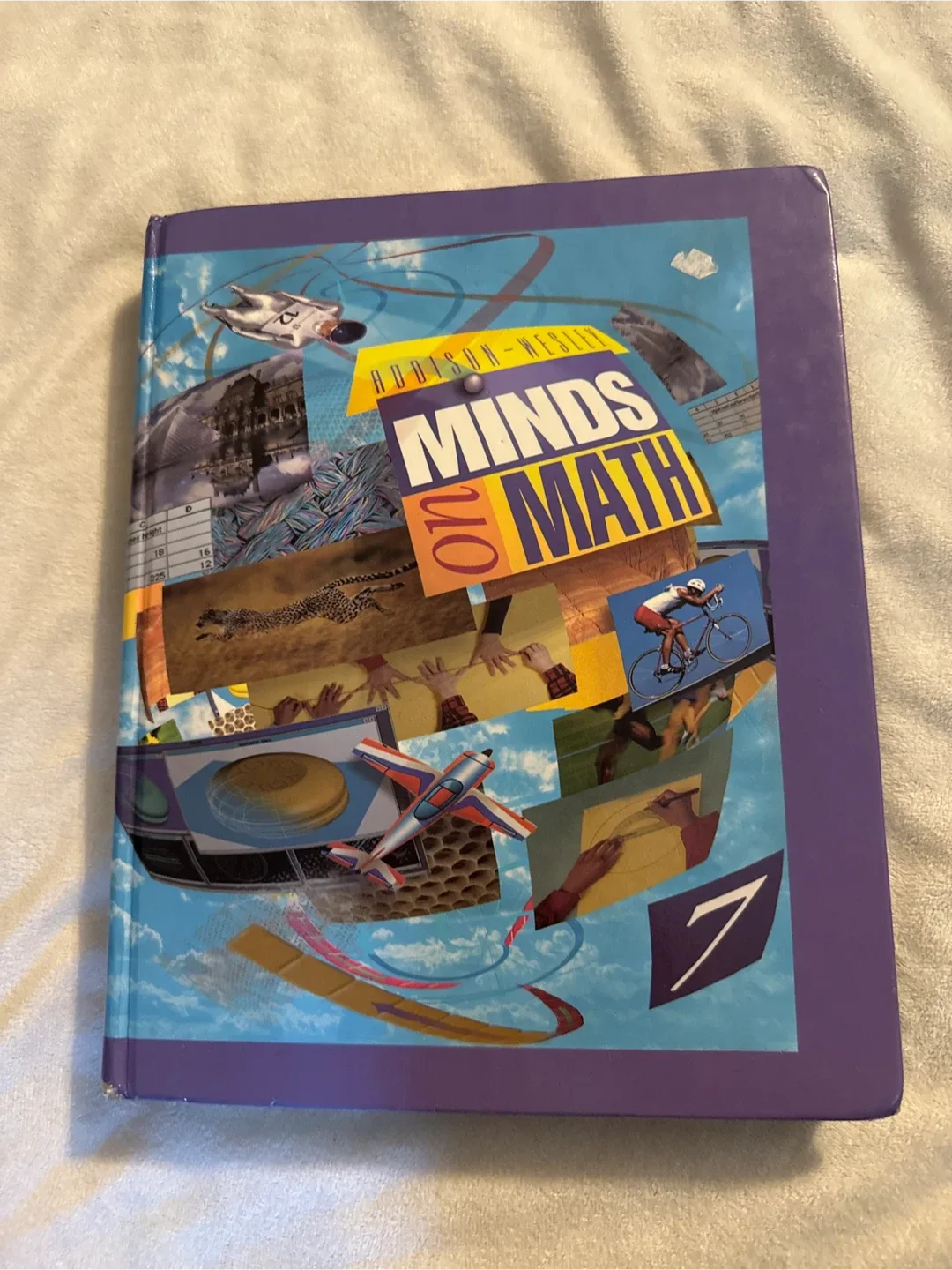 Addison-Wesley Minds On Math 7 Textbook 🥕