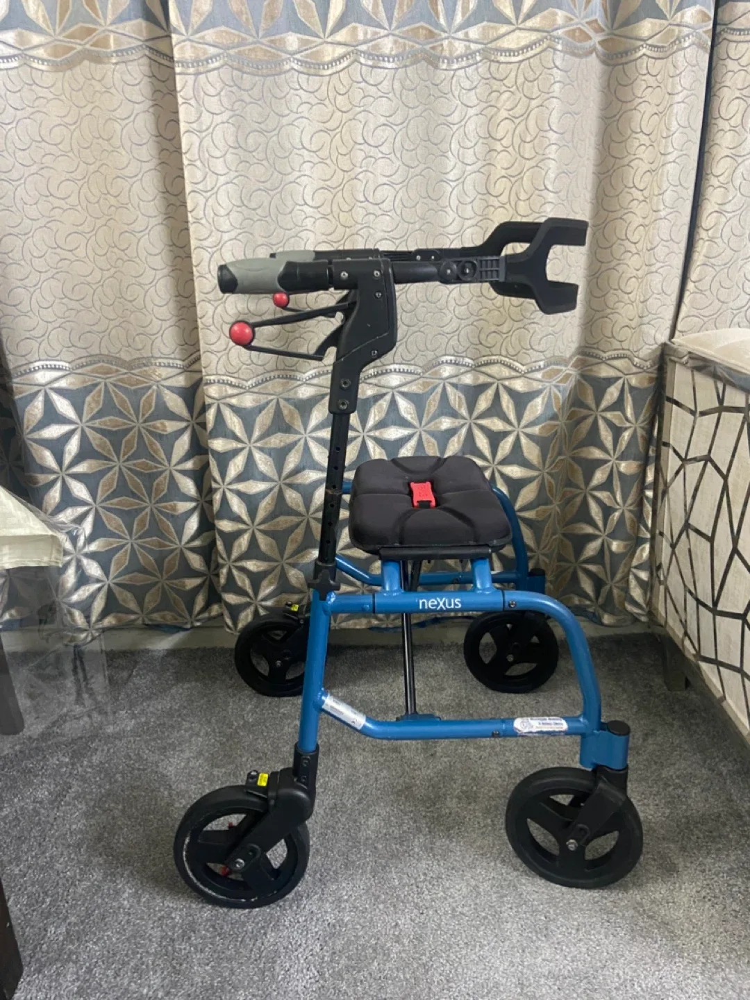 Nexus Upright Walker - Blue image indicator(2)