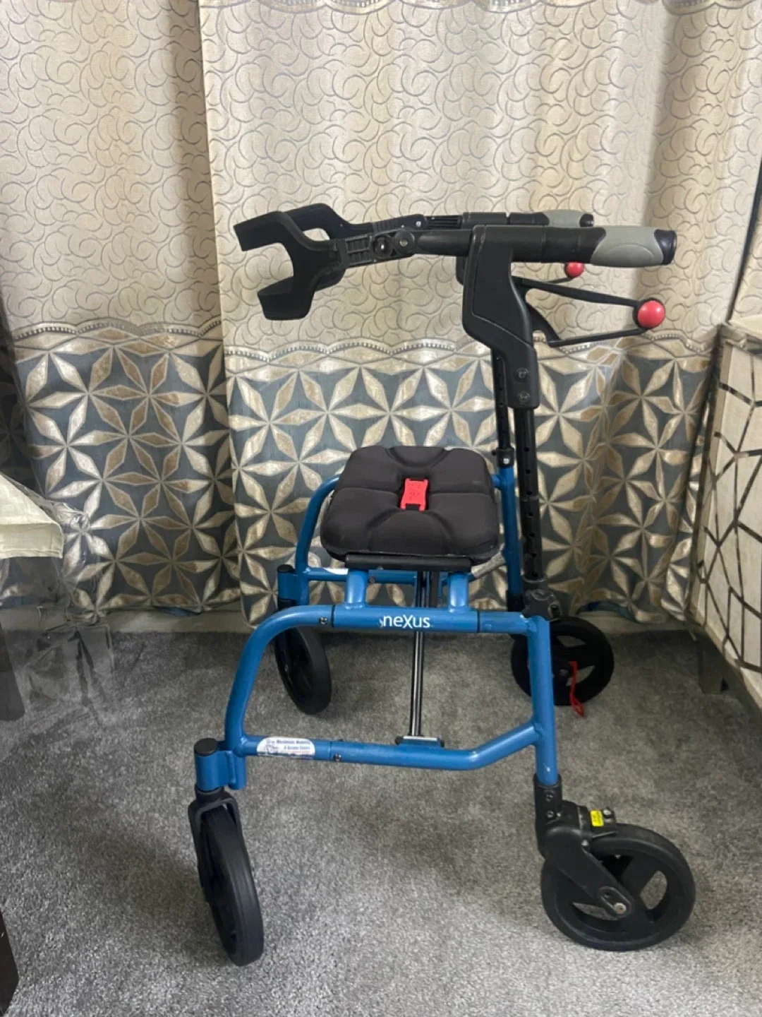 Nexus Upright Walker - Blue image indicator(4)