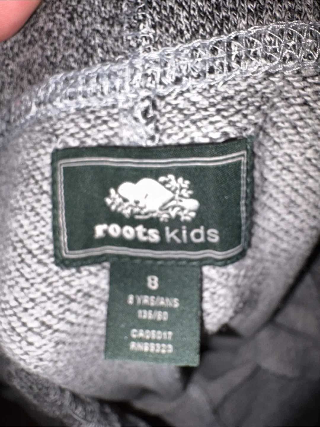 Roots Gray Sweatpants Kids Size 8 image indicator(3)