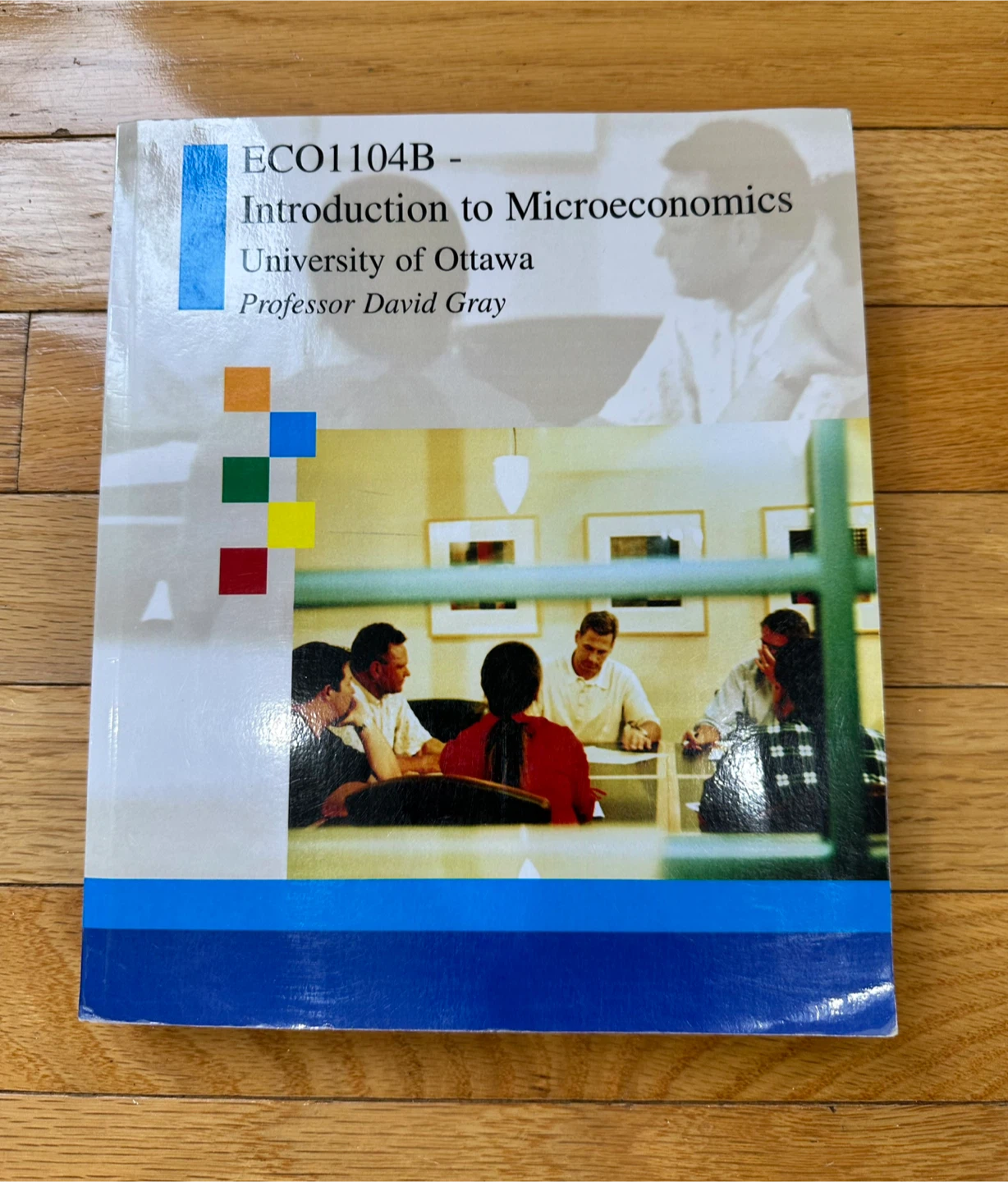 Introduction to Microeconomics ECO1104B Textbook 🥕