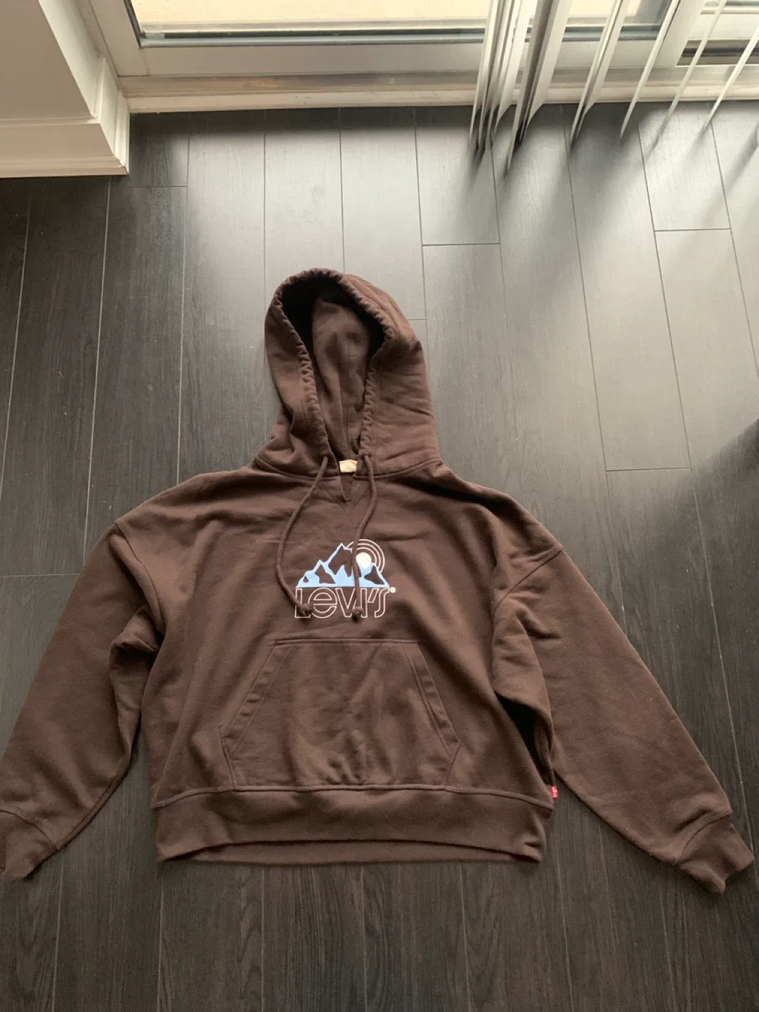 Levi's Brown Graphic Hoodie
