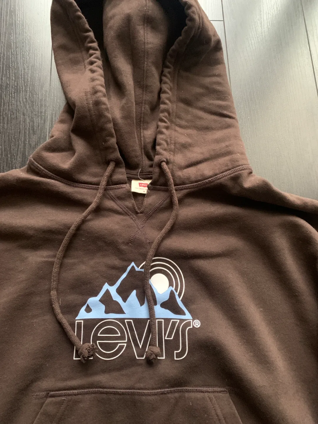 Levi's Brown Graphic Hoodie image indicator(2)
