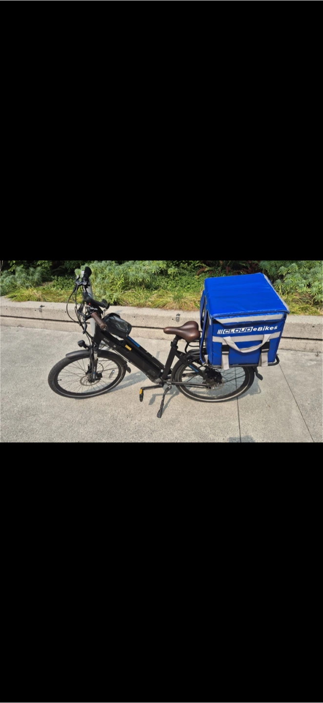 Electric cycle
