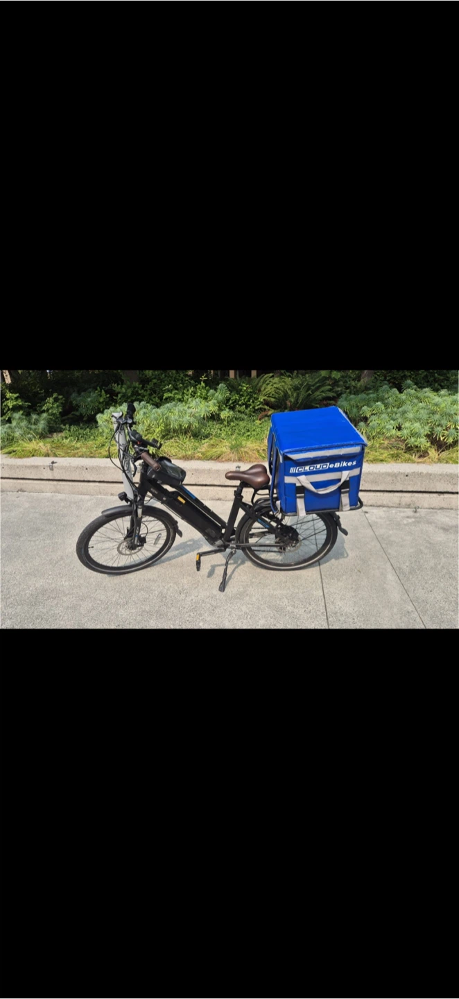 Electric cycle - photo 2