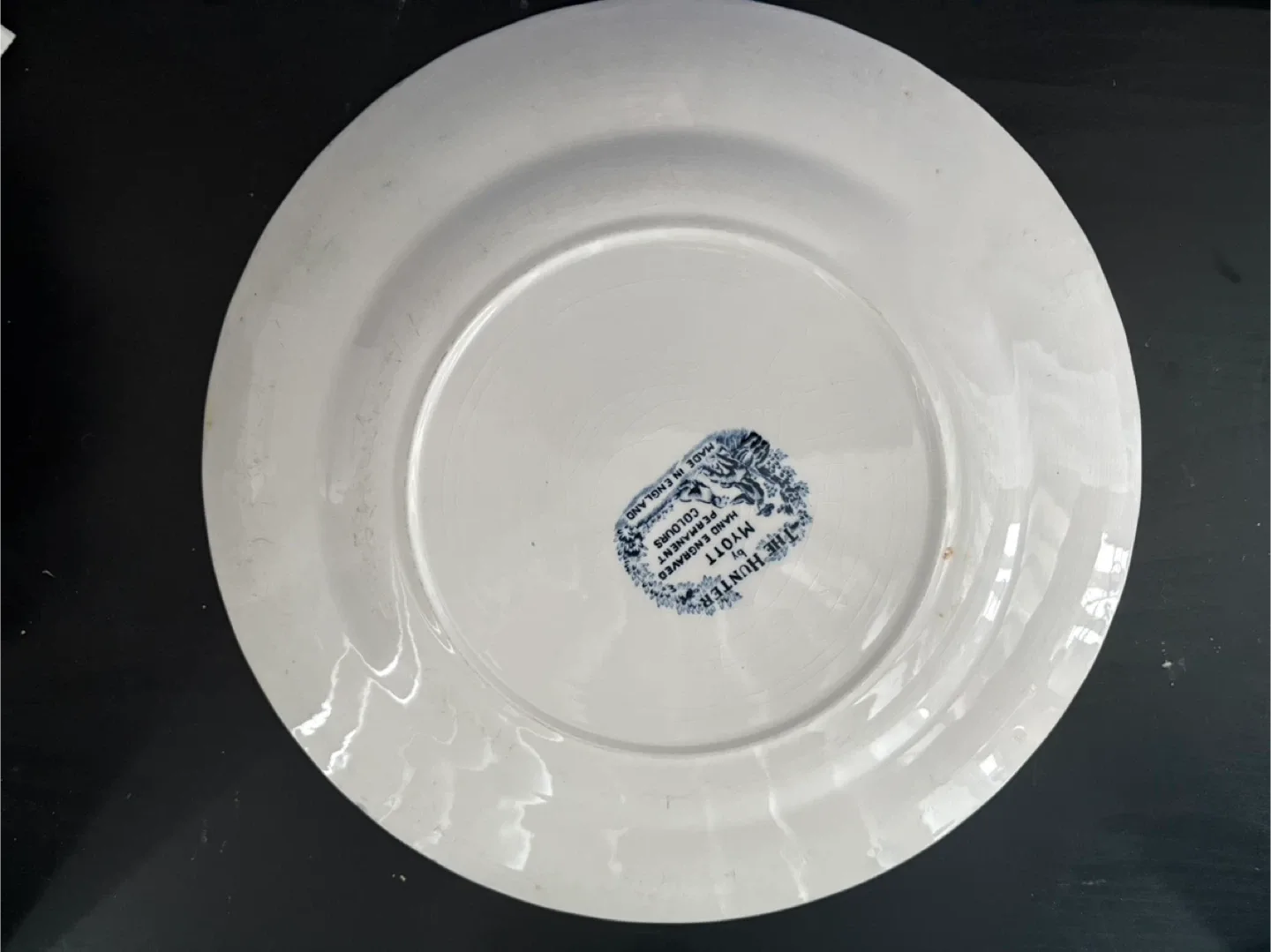 Myott The Hunt Plate image indicator(2)