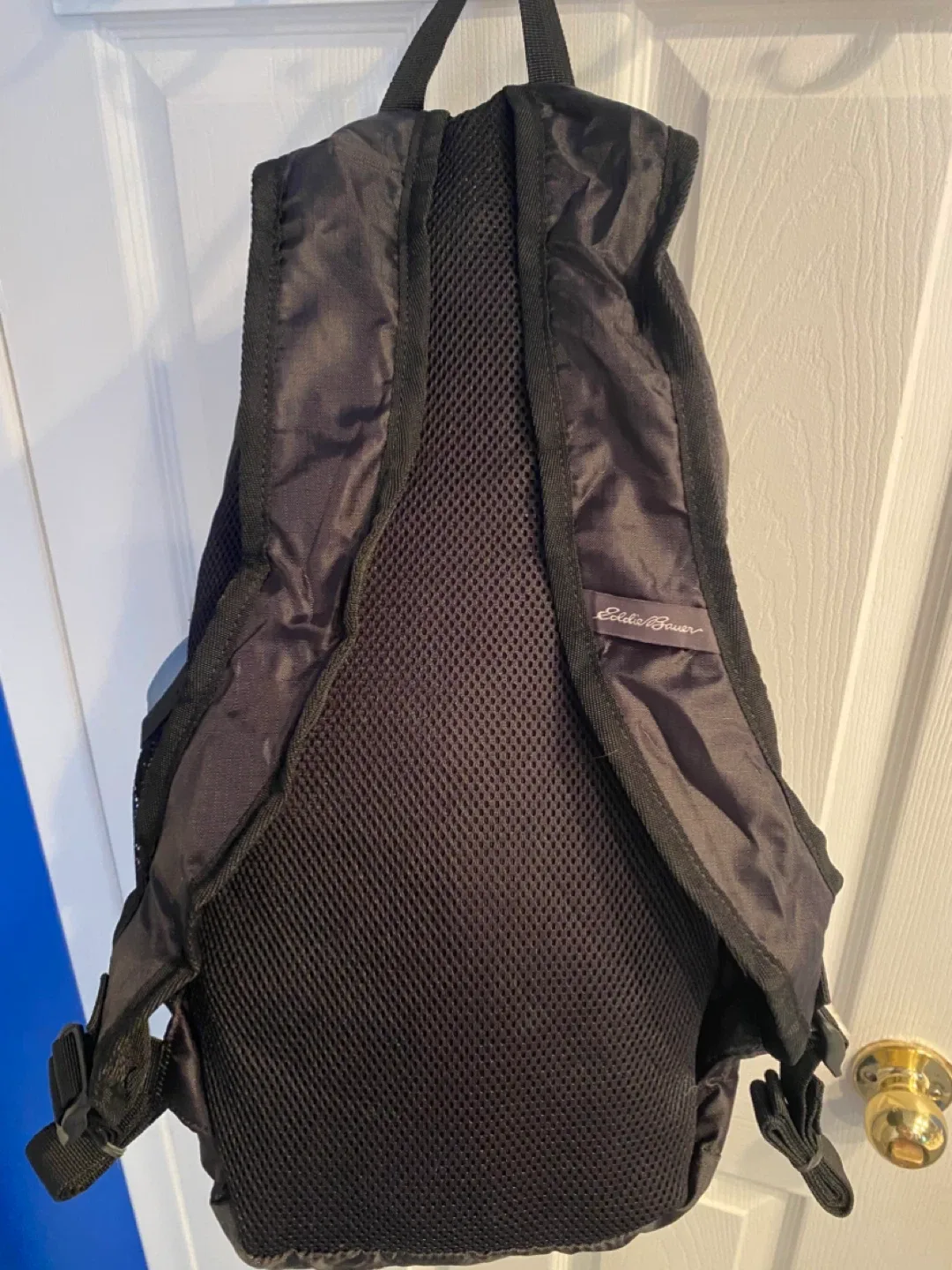 NEW! Eddie Bauer Stowaway 20L Foldable Backpack! image indicator(3)