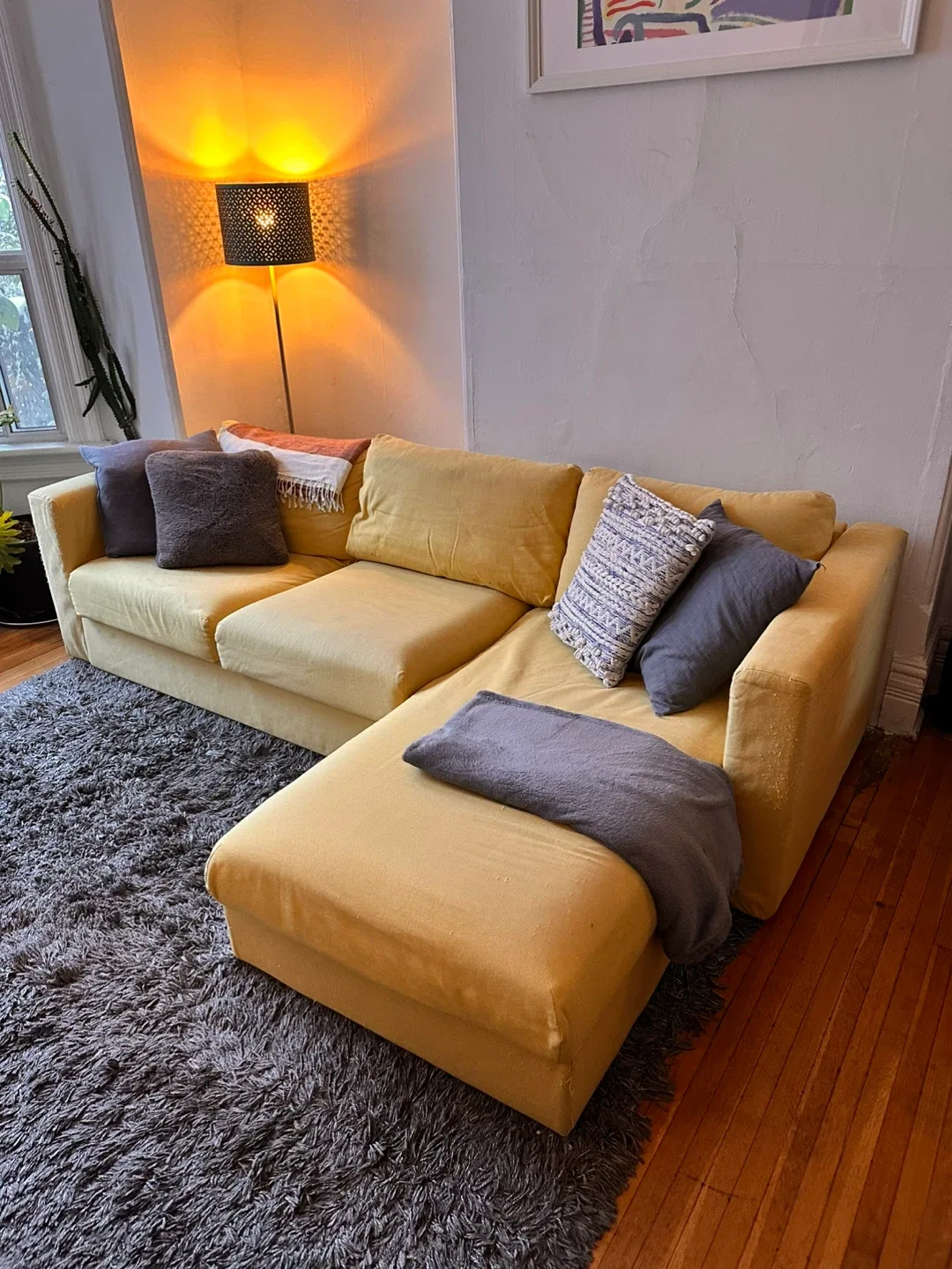 FREE Sectional Sofa with Ottoman and rug