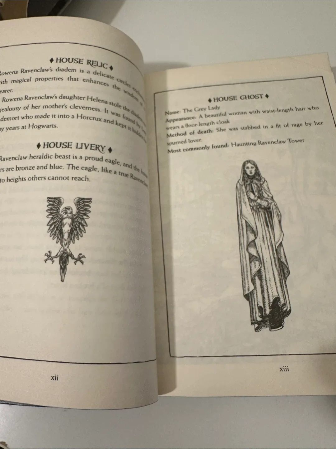 Harry Potter Philosopher's Stone Ravenclaw Edition image indicator(4)