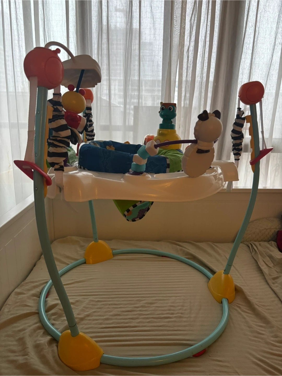 Baby Einstein Around We Grow 4-in-1 Bouncer