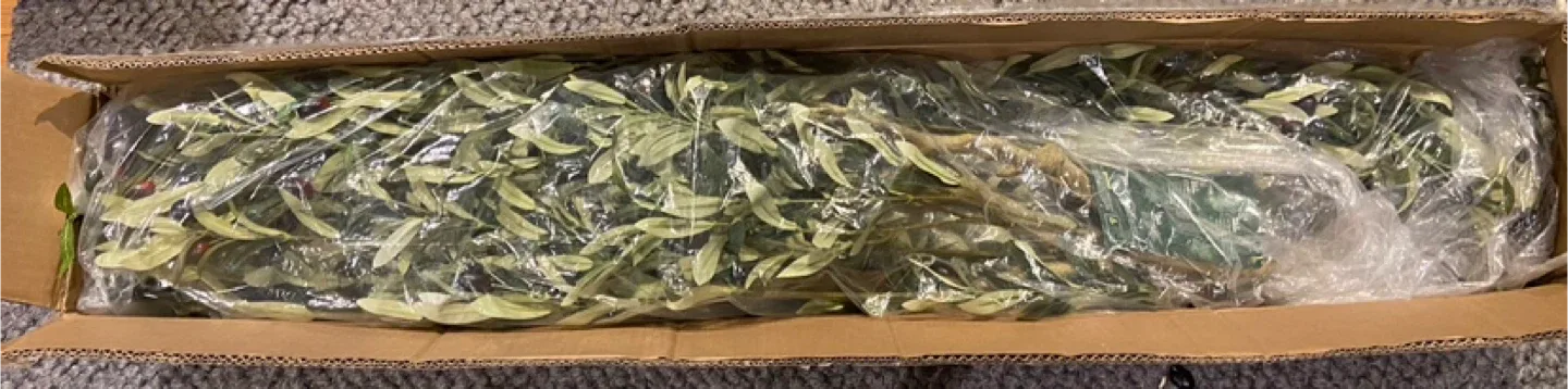 New Realead 7FT Artificial Olive Tree image indicator(2)