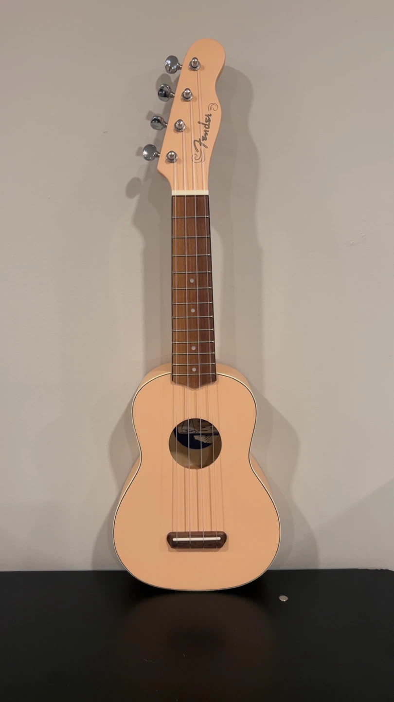 Fender (Soprano) Ukulele with Denver Case