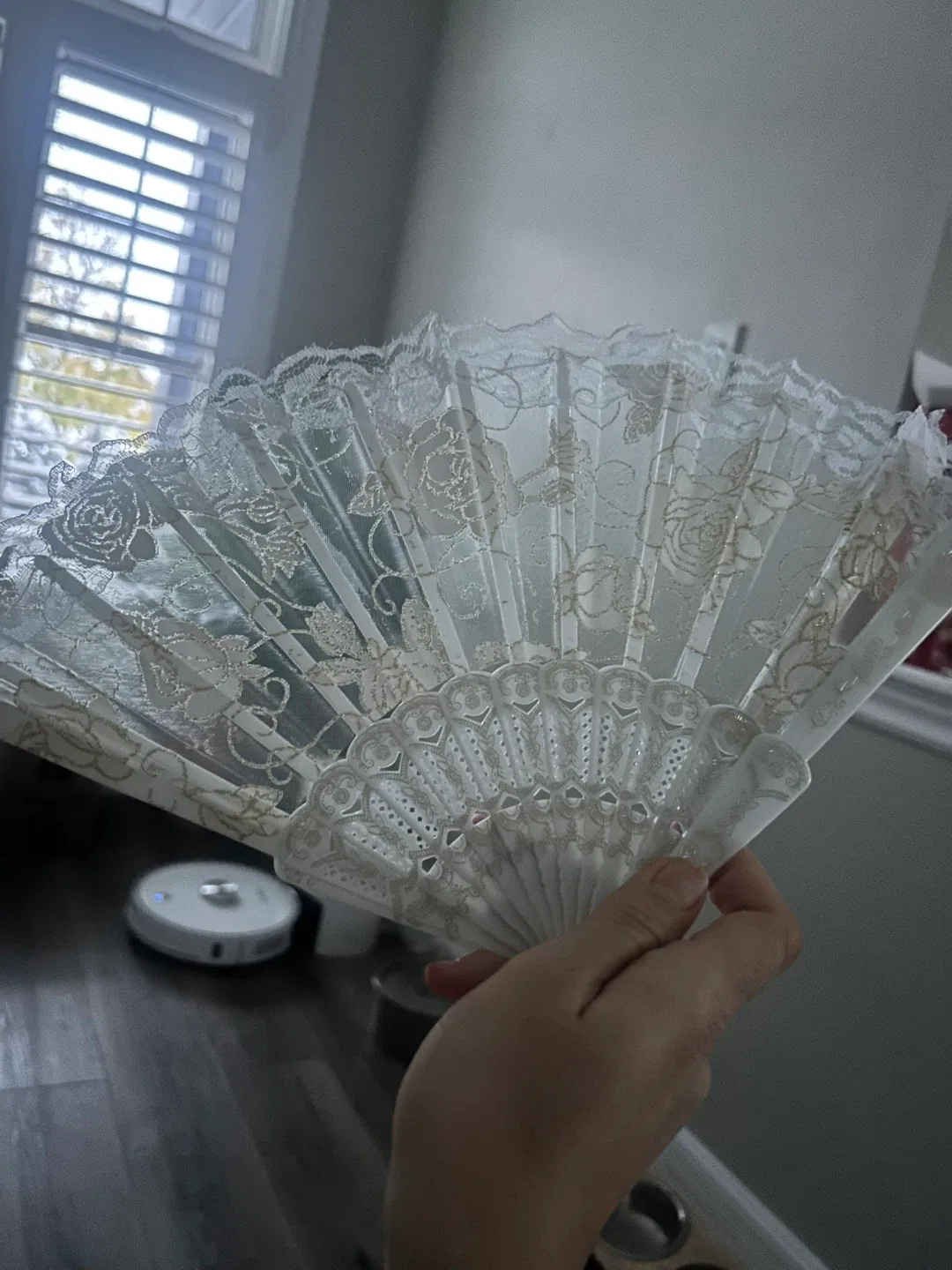 5 Lace Hand Fans - White 🥕 image indicator(2)