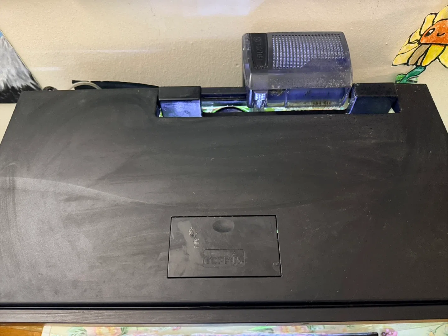 20 gallon tank image indicator(3)