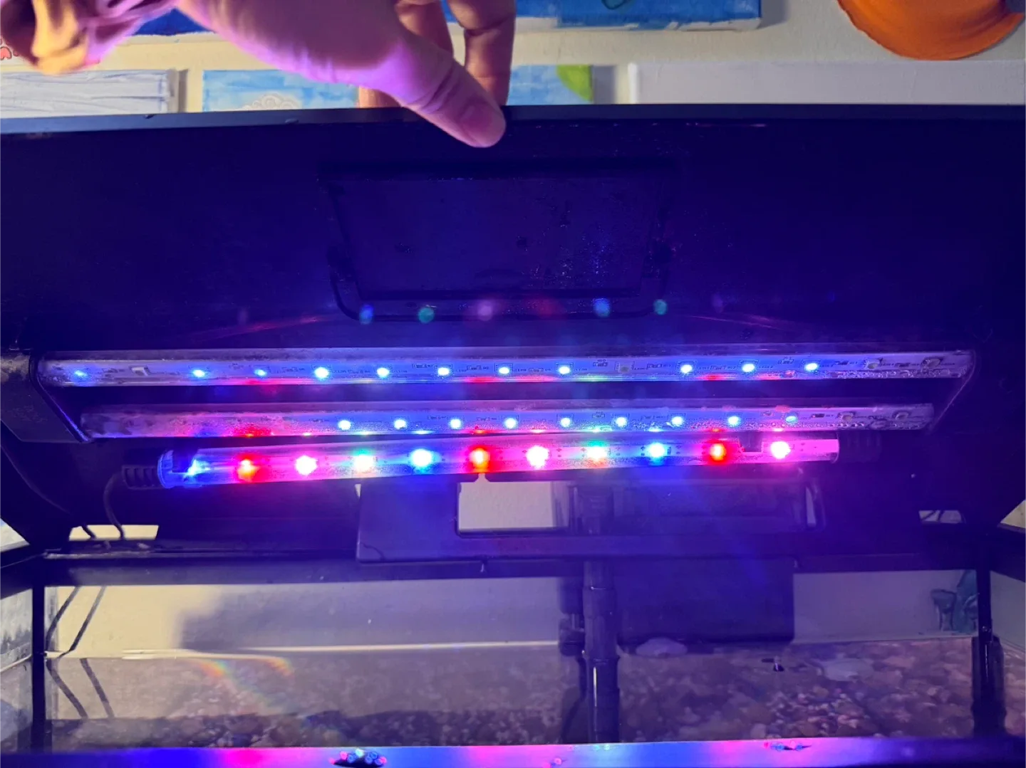 20 gallon tank image indicator(2)