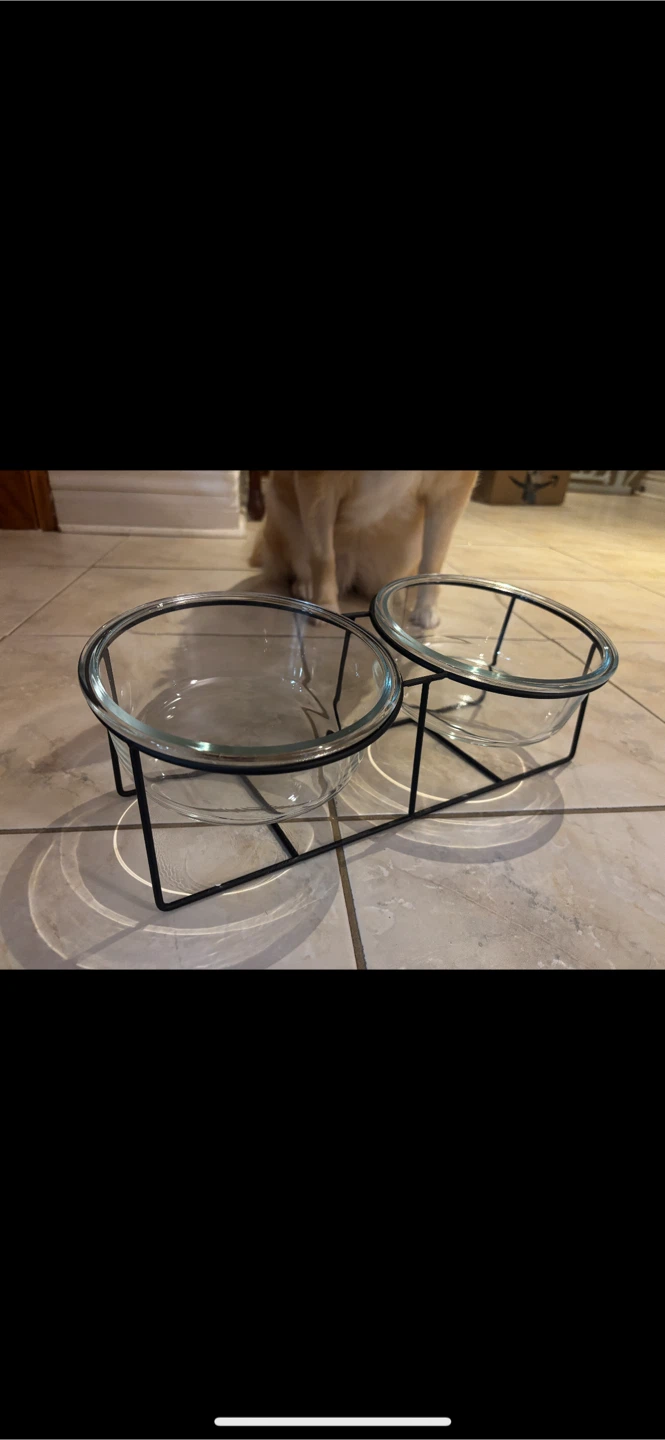 AHX Elevated Double Dog Bowls - photo 2