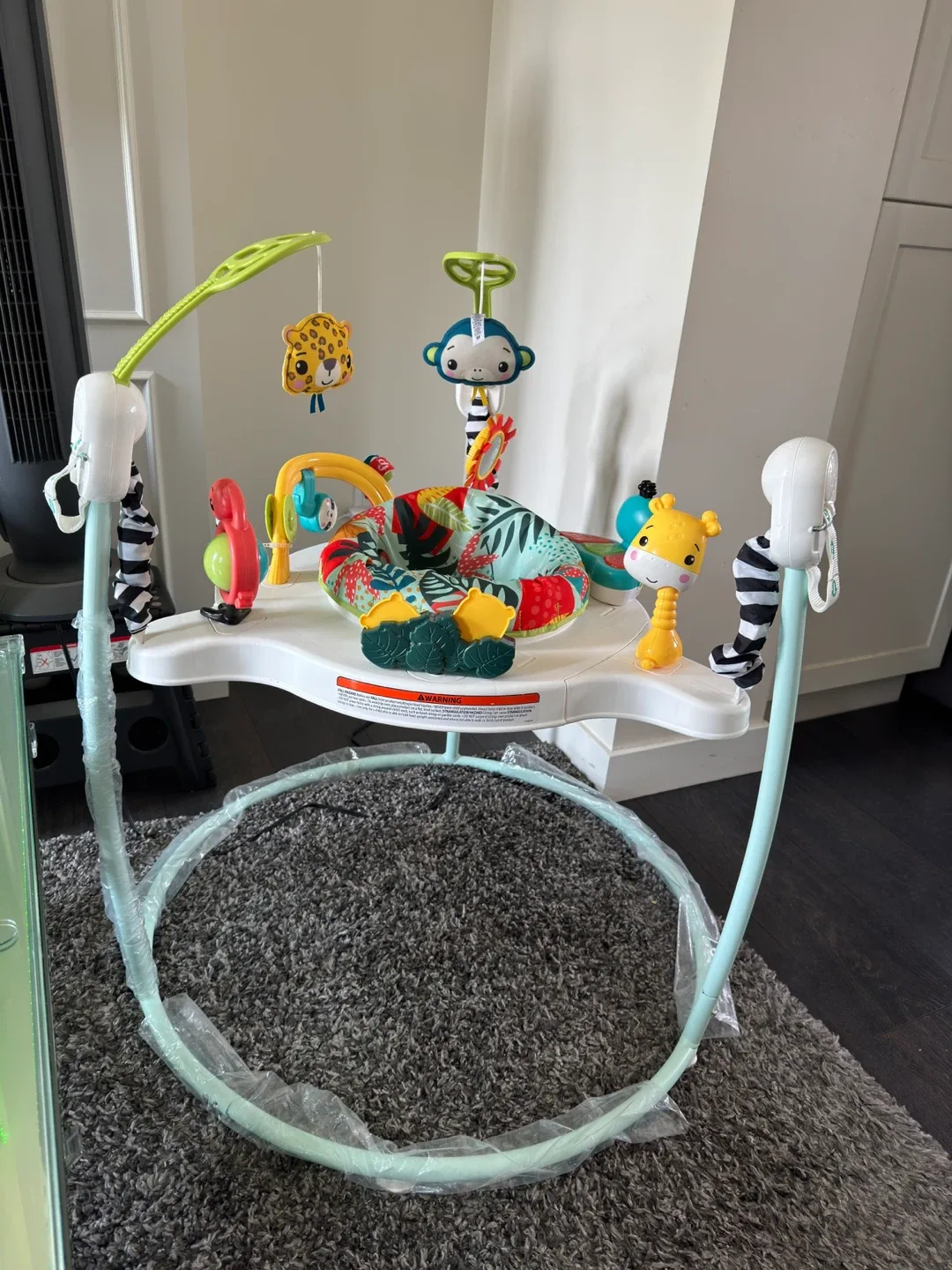 Fisher-Price Animal Wonders Jumper with 3 stage image indicator(2)