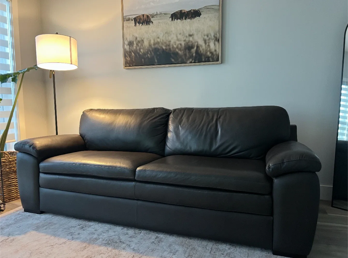 Urban barn couch image indicator(2)