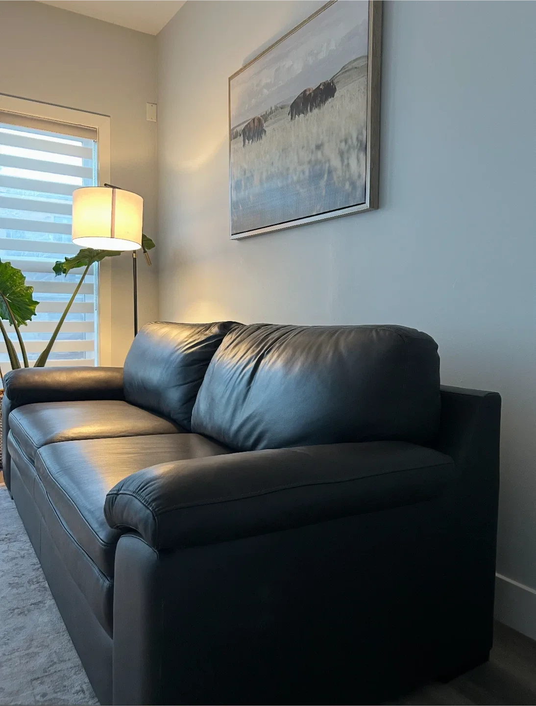 Urban barn couch image indicator(3)