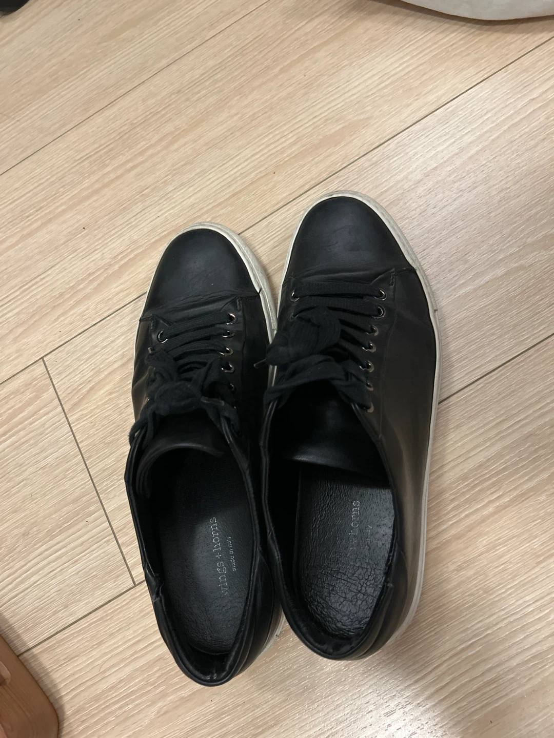 Wing and Horns Black Leather Sneakers