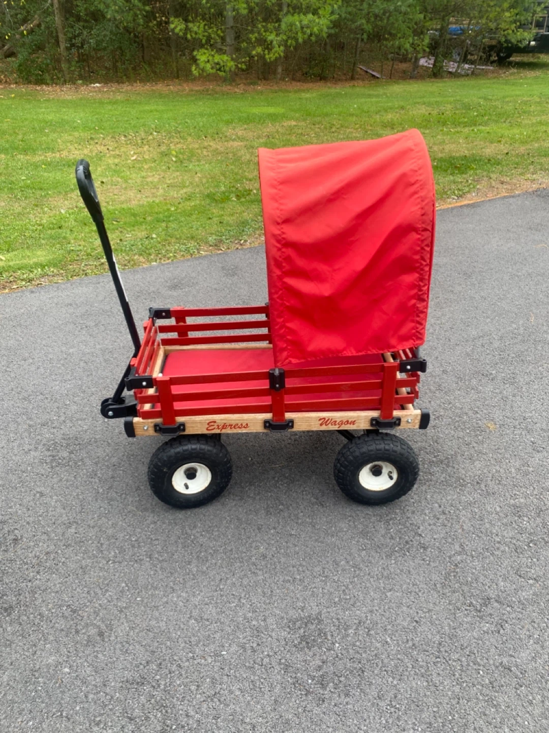 Express Wagon Red Wagon with Canopy