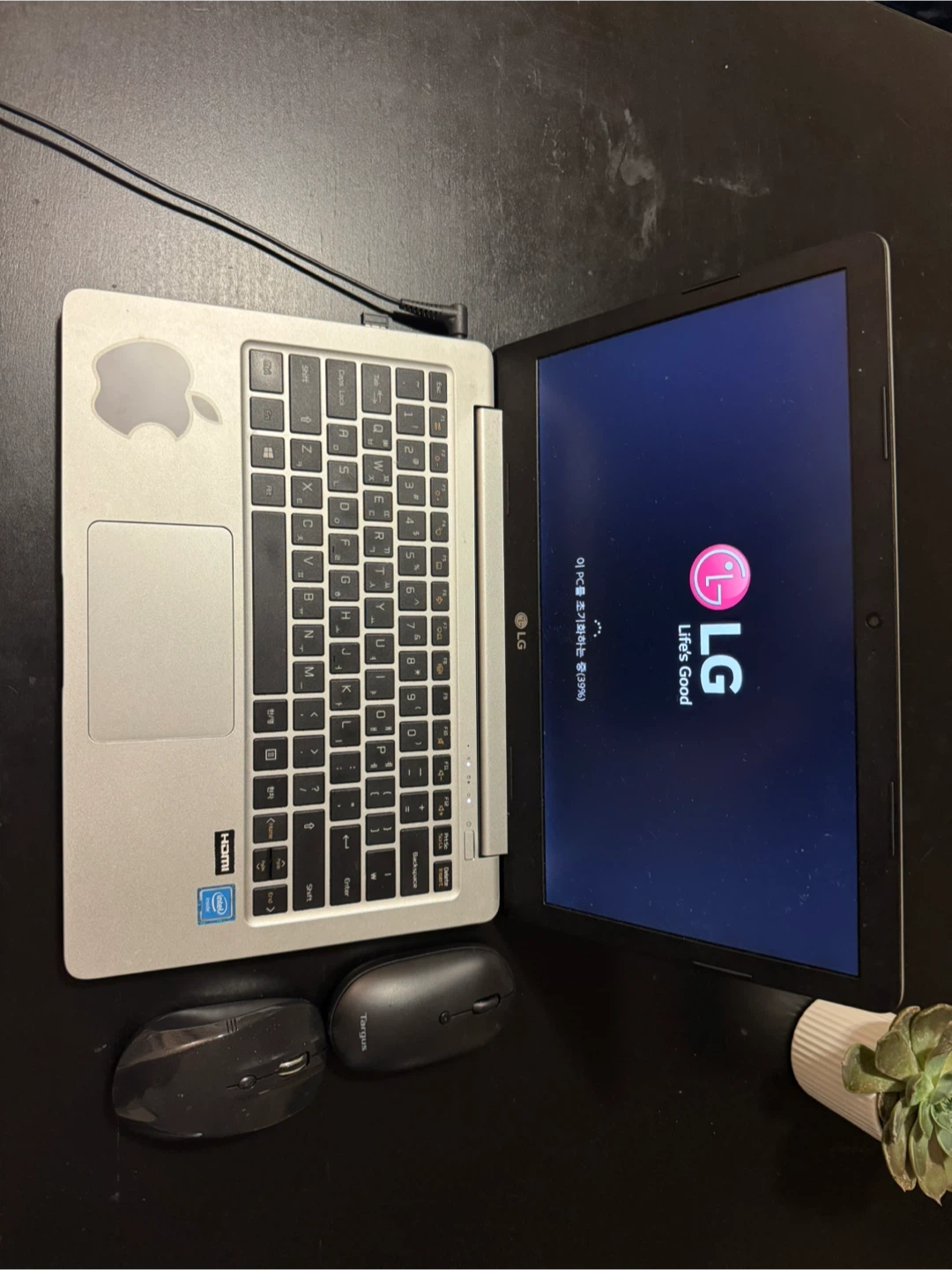 LG Laptop (with Apple Sticker)