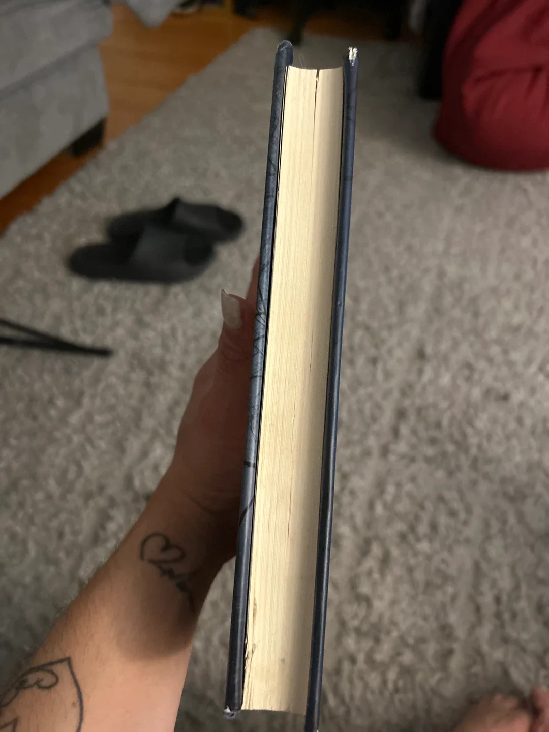 The Never List by Koethi Zan image indicator(4)